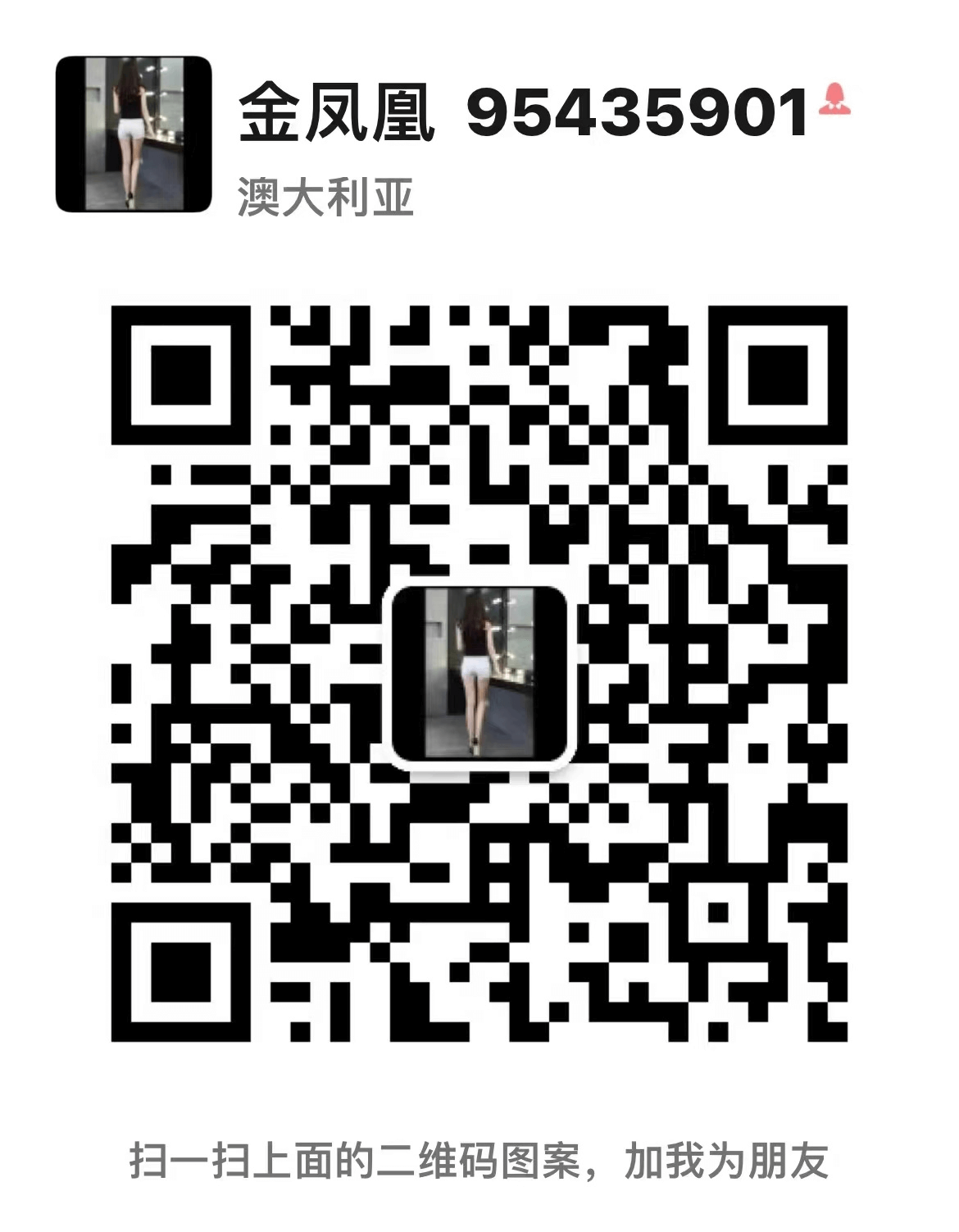 wechat code 2 for live chat 金凤凰二维码